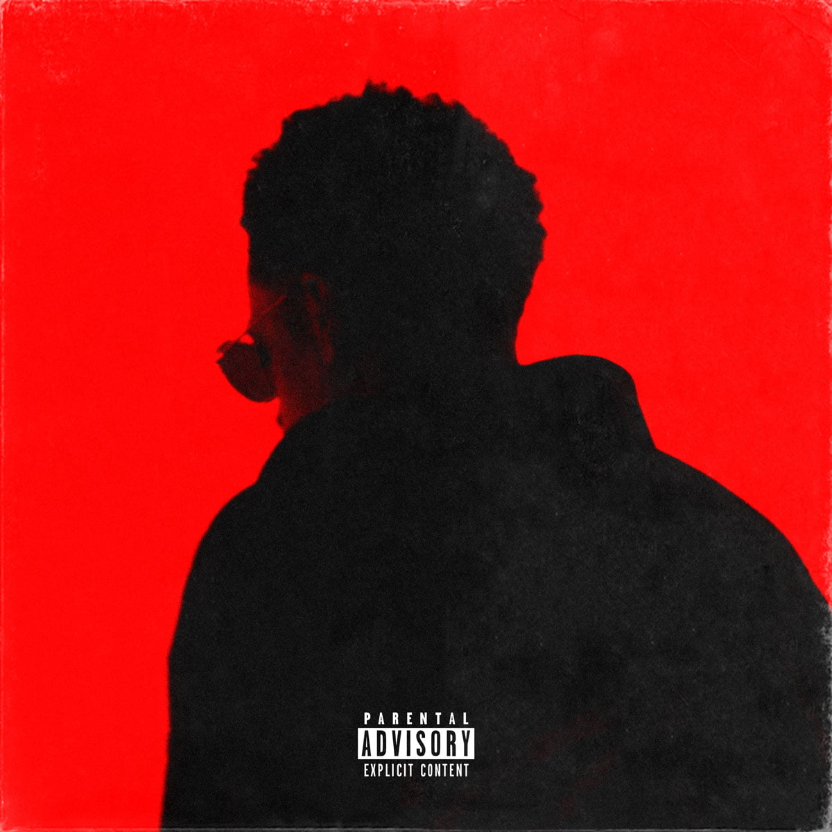 N8_SlimShady_Cover_Web